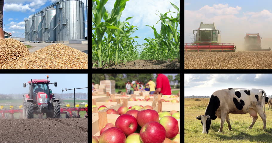 Αναπτυξιακός Νόμος έως 55% Επιδότηση για Επενδύσεις στον τομέα της Γεωργίας και της Κτηνοτροφίας