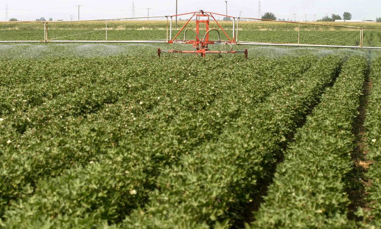 100% Επιδότηση Νέων Αγροτών. Υποβολές έως 22/01/2025