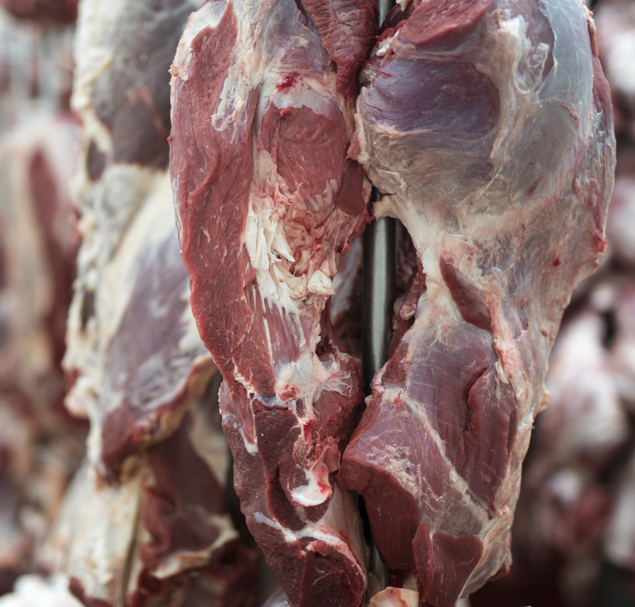 Επεξεργασία και συντήρηση κρέατος και παραγωγή προϊόντων κρέατος. Επιδότηση έως 65% για Επιχειρήσεις