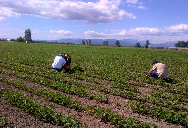ΝΕΟ ΠΡΟΓΡΑΜΜΑ: «Στήριξη για επενδύσεις στη μεταποίηση, εμπορία και/ή ανάπτυξη γεωργικών προϊόντων»