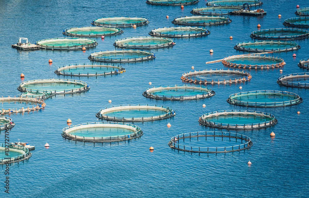 Επιδότηση 75% : «ΣΧΕΔΙΑ ΠΑΡΑΓΩΓΗΣ ΚΑΙ ΕΜΠΟΡΙΑΣ» ΑΛΙΕΙΑ, ΥΔΑΤΟΚΑΛΛΙΕΡΓΕΙΑ ΚΑΙ ΘΑΛΑΣΣΑ. Υποβολές έως 31.12.2028