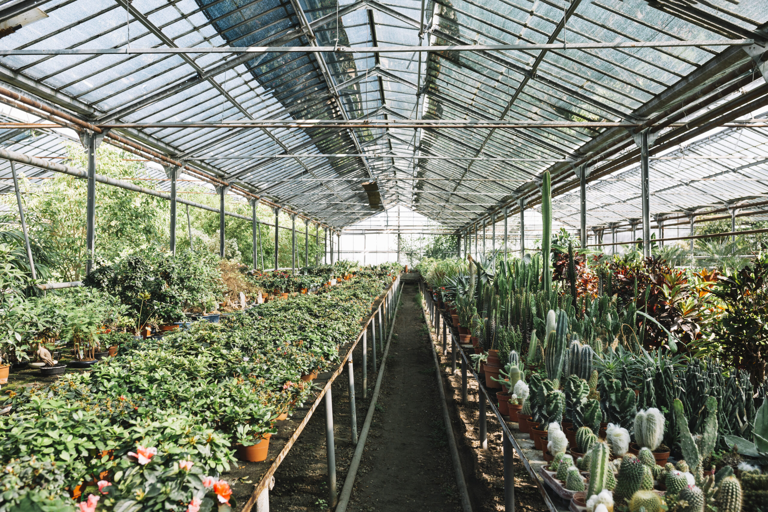 Προδημοσίευση πρόσκλησης “Επενδύσεις για τον εκσυγχρονισμό και την κατασκευή θερμοκηπίων και προσπελάσιμων στεγάστρων φυτικής παραγωγής”